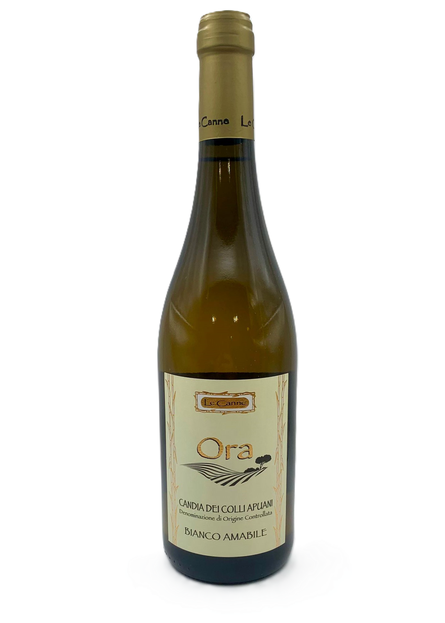 BIANCO SECCO " AMABILE " AZ.AGRICOLA LE CANNE