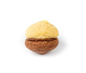 Baci di dama accoppiati